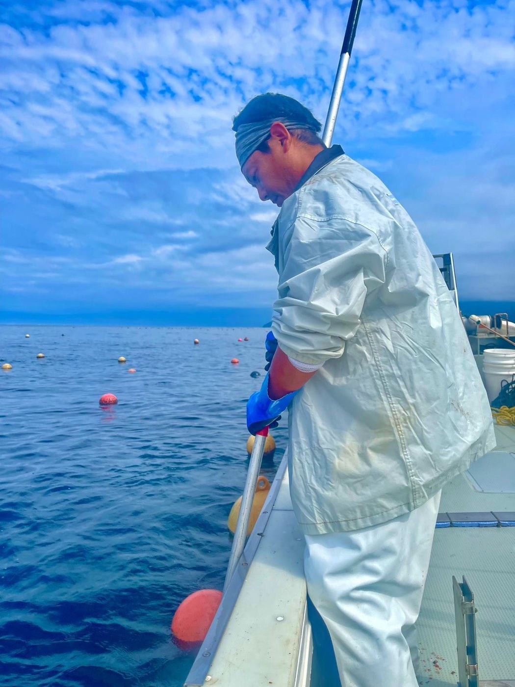 沖まで続く浮き玉の列