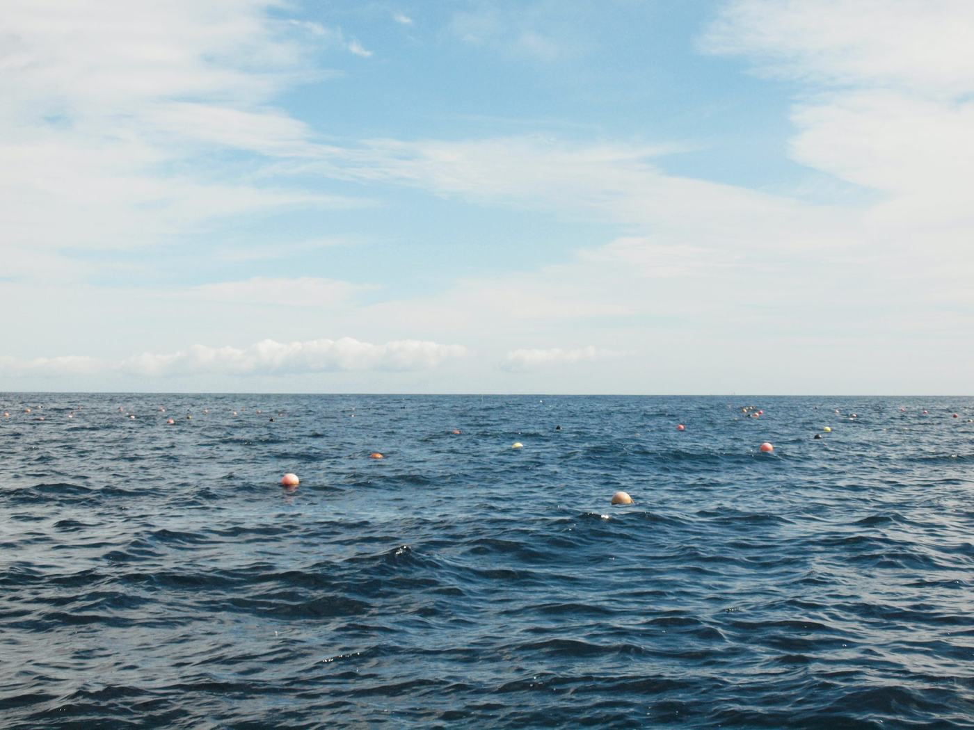 浮き玉の浮かぶ南茅部の海