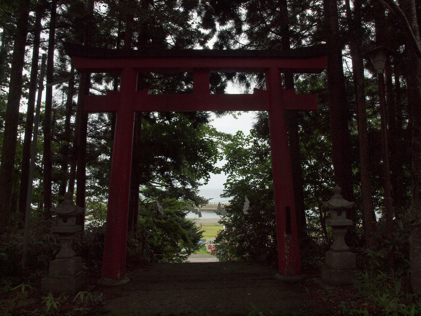 木立のなかに立つ神社の鳥居